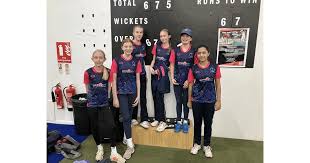 Image result for Hursley Park Cricket Club