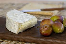 Image result for brie