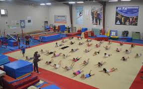 Image result for Halifax Sports Acro Gymnastics Club