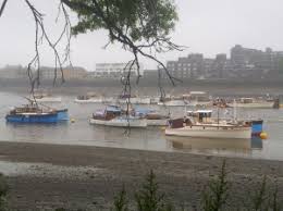 Image result for Barn Elms Rowing Club