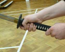 Image result for kyokujitsu Kai