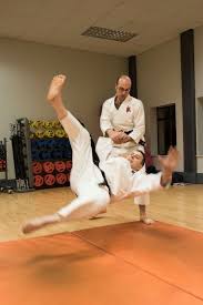 Image result for Bournemouth Shorinji Kempo Club