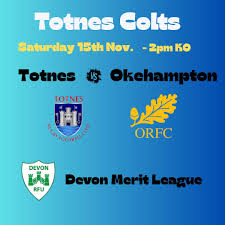 Image result for Totnes Rugby Club