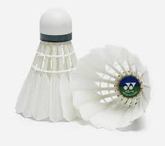 Image result for XDC BADMINTON CLUB