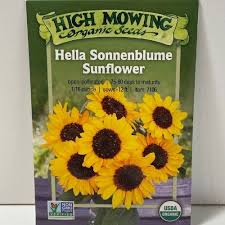 Image result for Sonnenblume