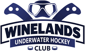 Image result for Plymouth Underwater Hockey Club