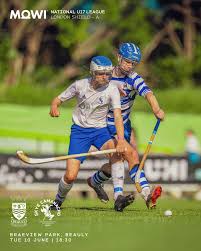 Image result for World of Shinty
