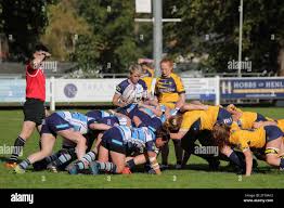 Image result for Newbury Rugby Club