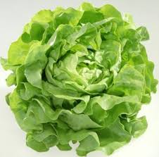 Image result for Kopfsalat