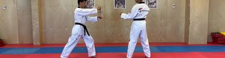 Image result for North West TaeKwonDo