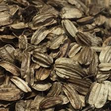 Attēlu rezultāti vaicājumam “Angelica archangelica fruit”