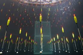 Image result for neutrino detector