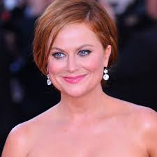 Image result for Bugaboo Cameleon Amy Poehler