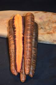 Attēlu rezultāti vaicājumam “Daucus sativus”