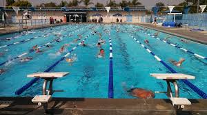 Image result for Aztec Divers