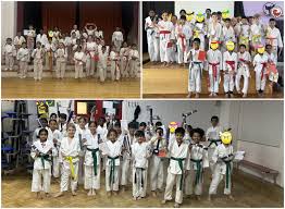 Image result for Tsunami Karate Club