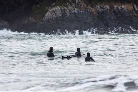 Image result for seppi tehron