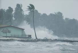 Image result for Hurricanes