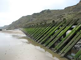 Image result for example