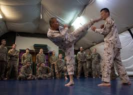 Image result for Combined self defence arts