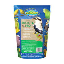 Attēlu rezultāti vaicājumam “Insecta”