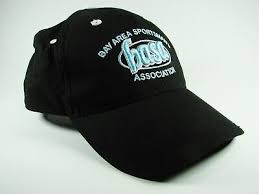 Image result for Hook Sports Association