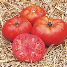 Afbeeldingsresultaat voor kosmonaut volkov 68D tomato