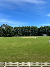 Image result for Tendring Cricket Club