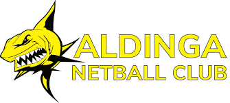 Image result for Newdigate Netball Club