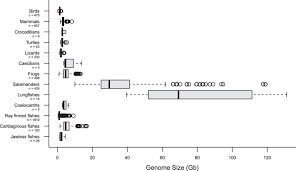 Image result for genome sizes