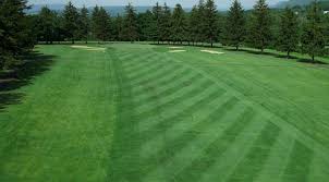 Image result for Knowle Golf Club Limited