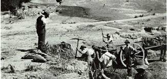 Image result for Bannockburn Bowling Club