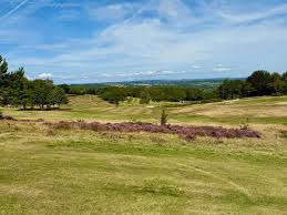 Image result for Stanedge Golf Club