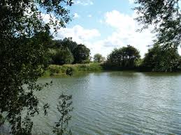 Image result for Becmain Angling Society