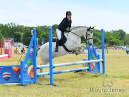 Image result for Chobham and District Riding Club