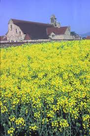 Image result for Roslin Welfare Bowling Club