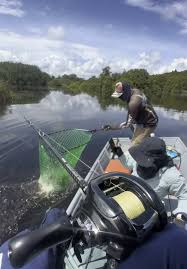 Image result for Diggle Angling Club