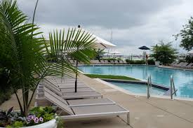 Image result for Calverton Swimming Club