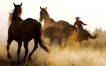 CASTING SINGLE RUGGED, COWBOY TYPE MEN! | B13 Peer Review