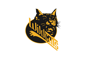 Image result for Swindon Panthers