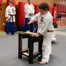 Image result for Colchester Shotokan Karate Club