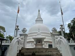 Image result for Buddha Maligavilla Srilanka