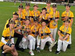 Image result for Messingham Cricket Club