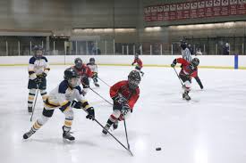 Image result for Adur Skater Hockey Club