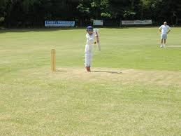 Image result for Runnymede Rascals Cricket Club