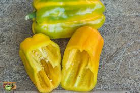 Afbeeldingsresultaat voor aconcagua sweet pepper