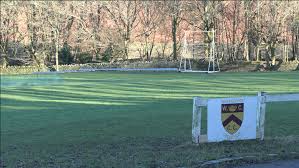 Image result for Shalford Cricket Club