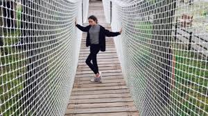 Image result for PONT DE SINGE