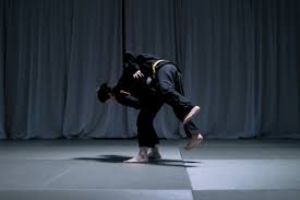 Image result for Goshin Ryu Atemi JuJitsu