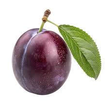 Attēlu rezultāti vaicājumam “Prunus domestica subsp. domestica fruit”